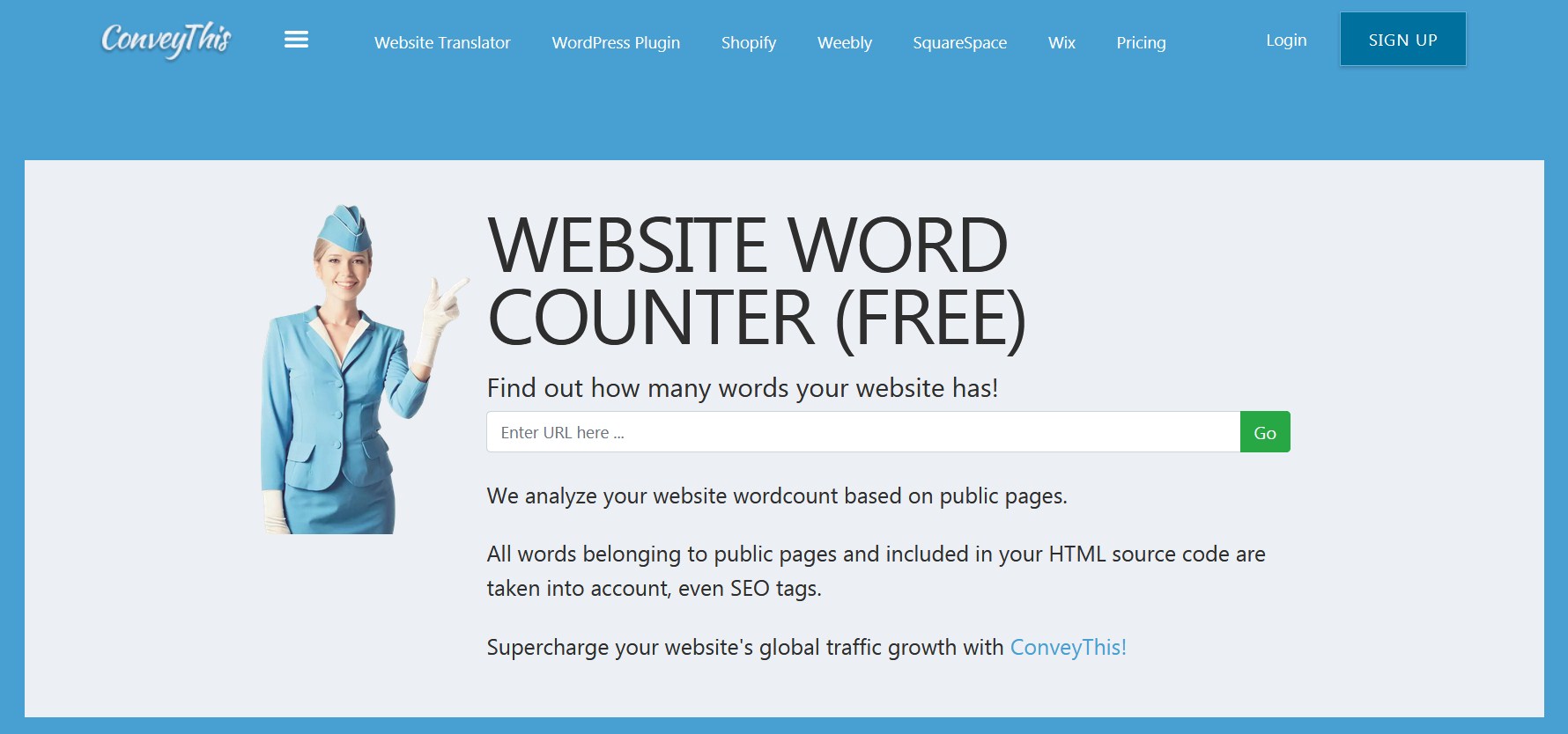 website word counter tool