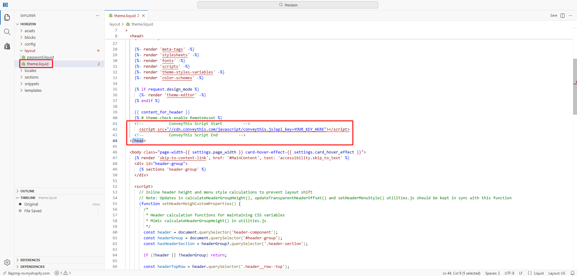 Shopify location to insert the code snippet